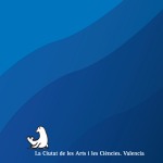 Libreta Foca Gris - Notebook Grey Seal