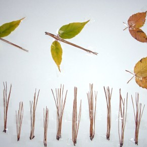 HOJAS DE OTOÑO JAPONESAS – JAPANESE AUTUMN&nbsp;LEAVES